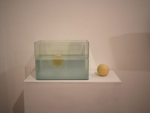 Isidro López-Aparicio (iLA)